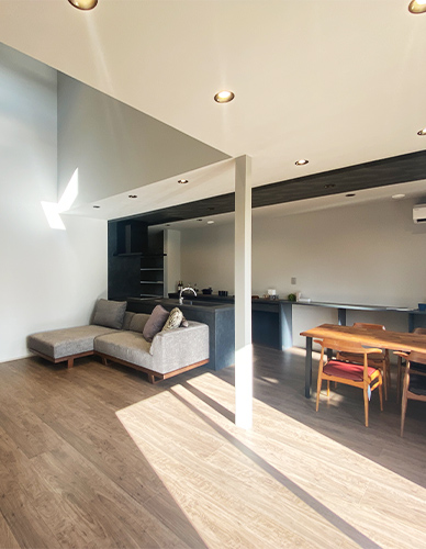 Stylish House
